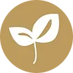 logo def dec 2019 agrandi.png
